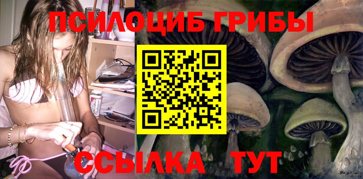 Котлас  Псилоцибиновые грибы ЛСД  Галлюциногенные грибы Psilocybe  Вход с VPN 