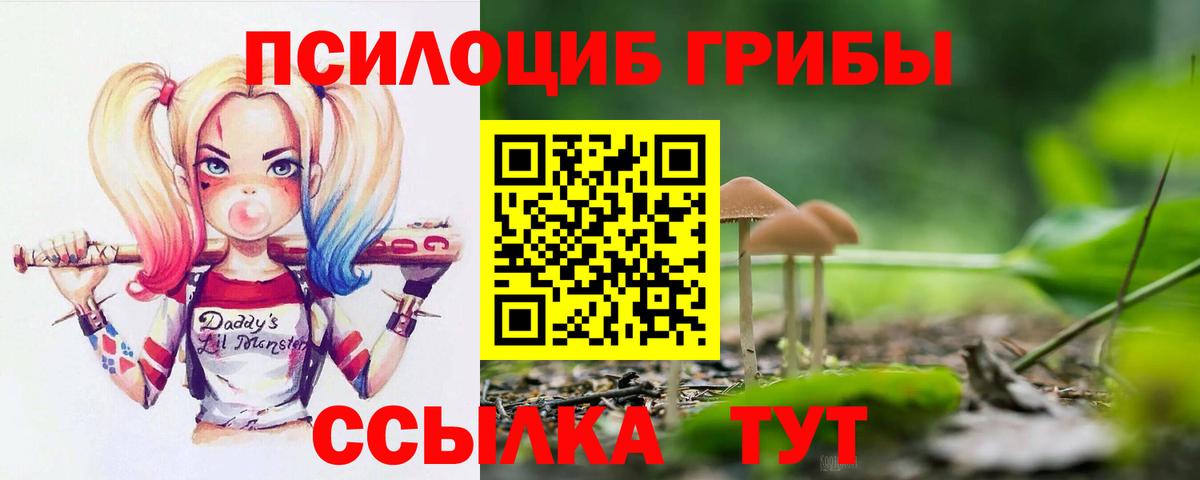 Псилоцибиновые грибы ЛСД Котлас